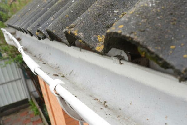 After: Before and after siding cleaning at a Birch Bay home