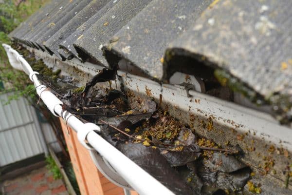 Before: Before and after siding cleaning at a Birch Bay home